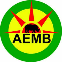 AEMB – Association des Étudiants et jeunes Maliens de Bourgogne