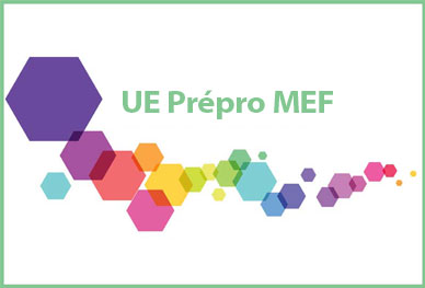 UE Prépro MEF