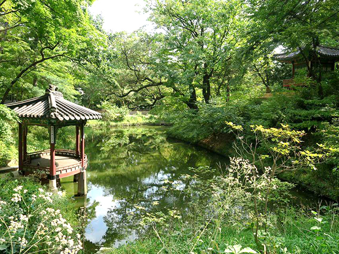 Secret garden, Changdeokgung Palace, Seoul.