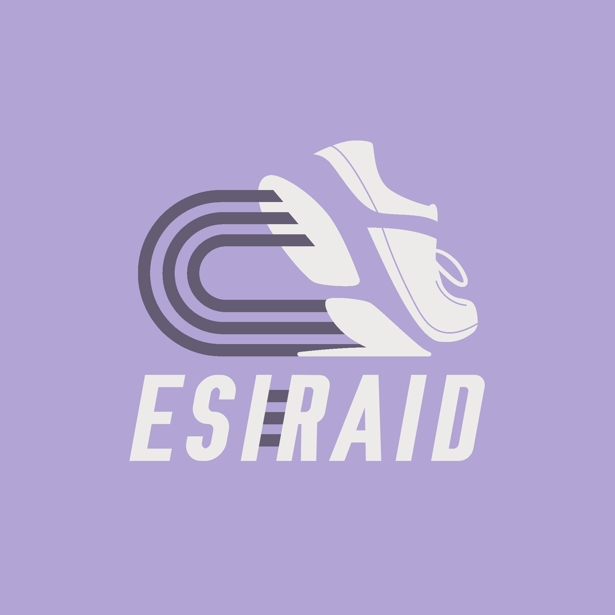 ESIRAID